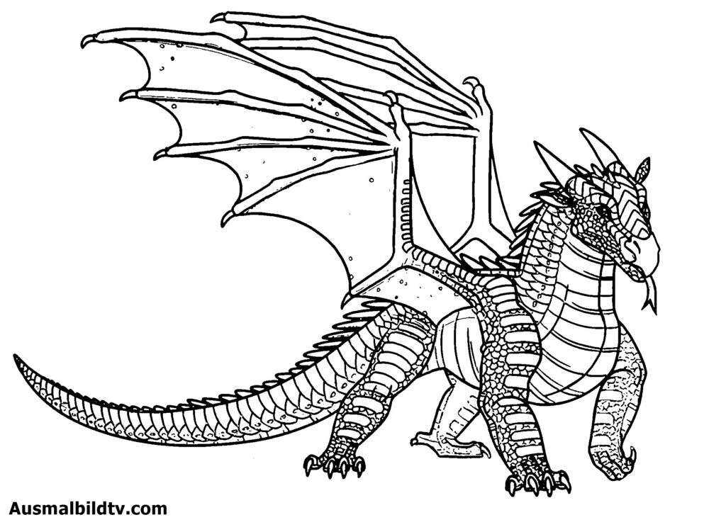 Ausmalbilder Drachen für Erwachsene zum Ausdrucken